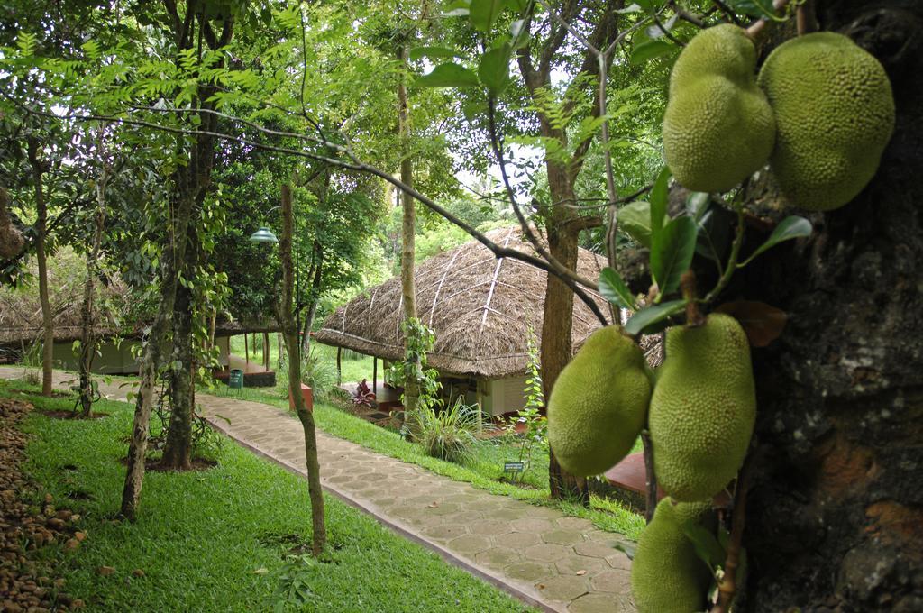Spice Village Thekkady - A Cgh Earth Experience Exterior foto