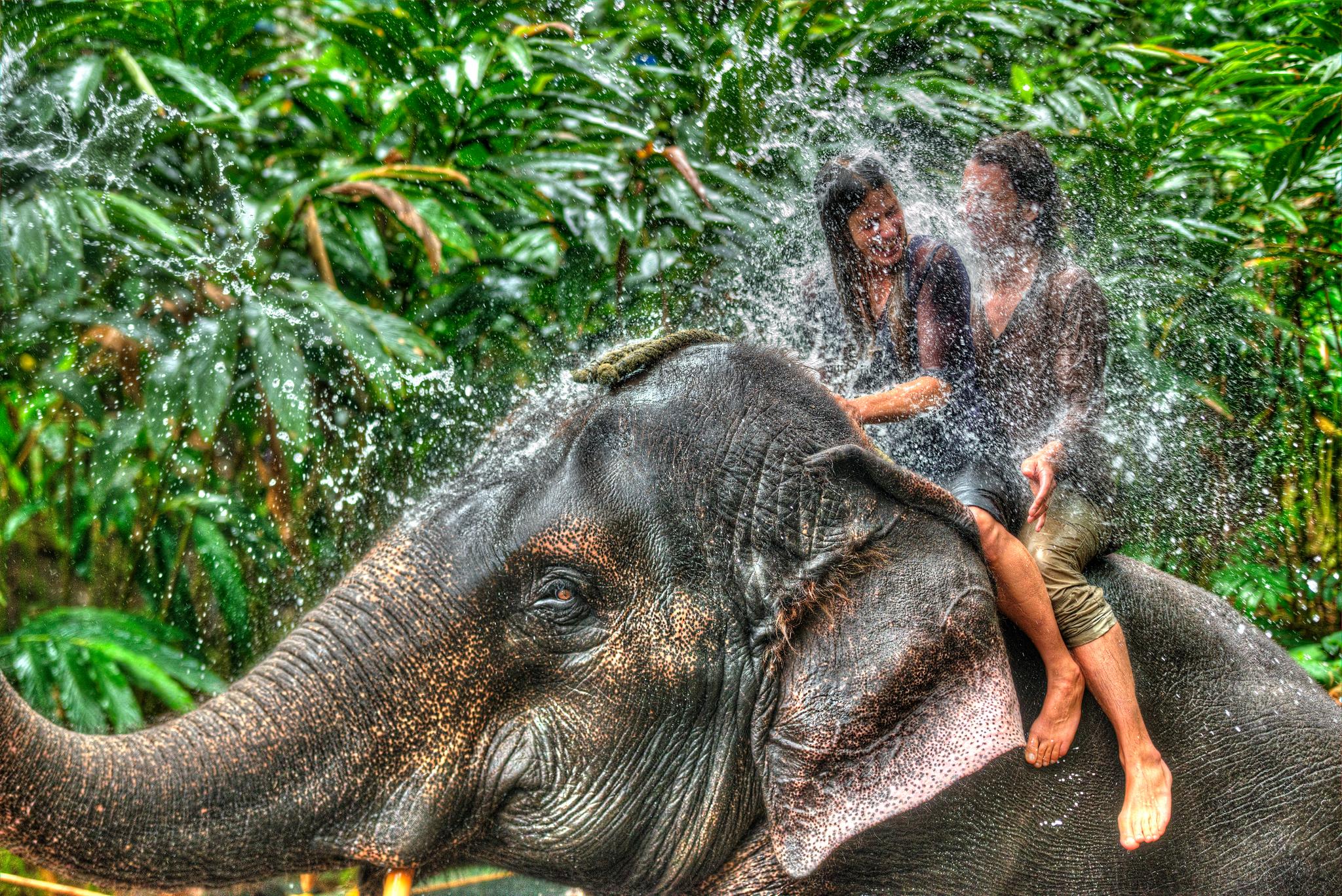 Spice Village Thekkady - A Cgh Earth Experience Exterior foto
